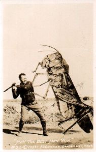 338e302d672011147f4c3a5c14c4fe9e--insecticide-picture-story