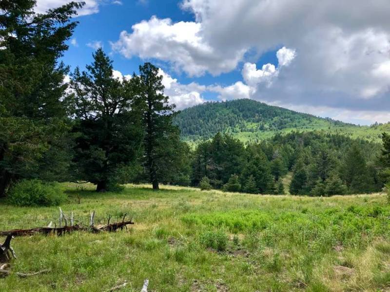 “Getting Over the Color&nbsp;Green”